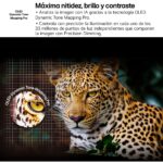 ASSET_MMS_163631794